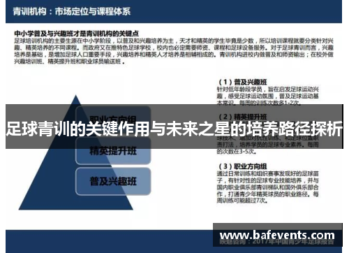 足球青训的关键作用与未来之星的培养路径探析