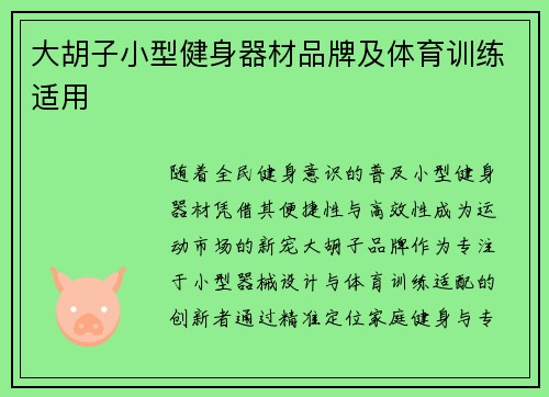 大胡子小型健身器材品牌及体育训练适用
